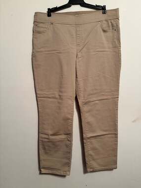Kim Rogers Tummy Control Straight Leg Pants Size 18 Average